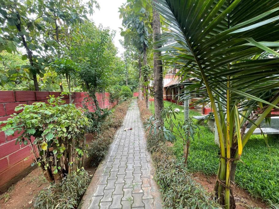 'Vrindavan' In Heritage City Mysuru Exteriör bild