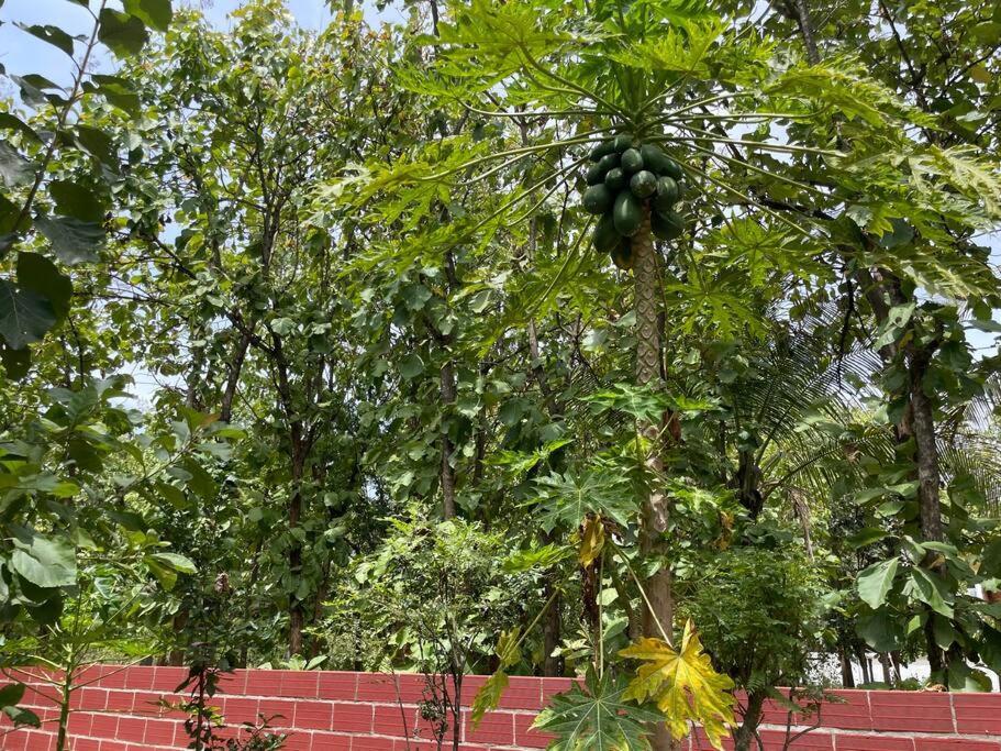 'Vrindavan' In Heritage City Mysuru Exteriör bild